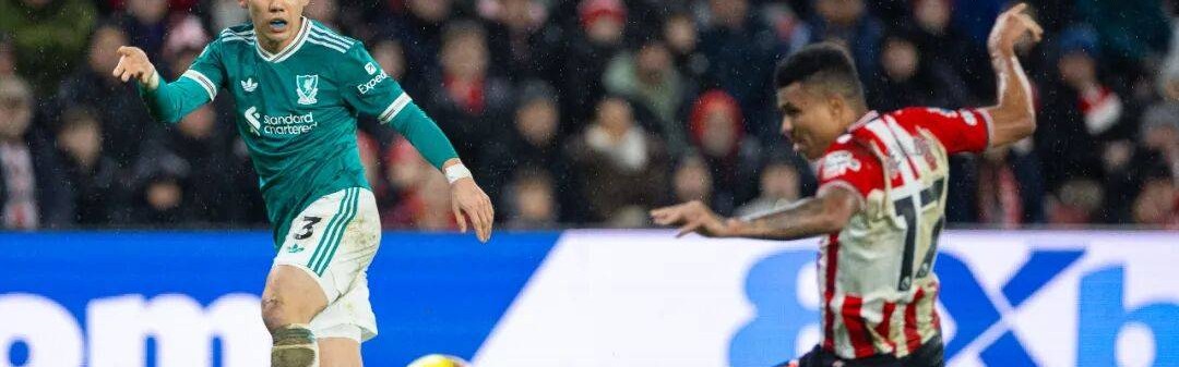 因你们而流的泪