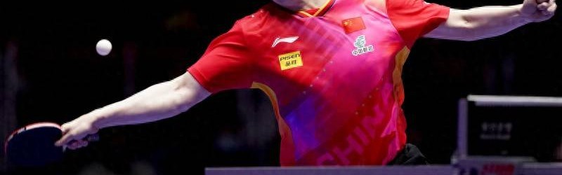 樊振东转战德甲，这一决定让部分在德甲打球的台北球员惊掉下巴